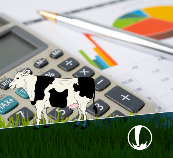 Gestión Económica para Lechería con Excel - Nivel 2 - Inicio 4 de agosto 2025