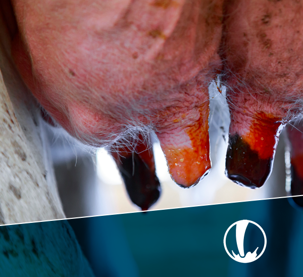 Buenas Prácticas en la Producción de Leche y su Impacto en la Rentabilidad - Inicio 17 de noviembre 2025
