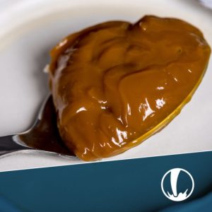 Tecnología de Elaboración de Dulce de Leche – Inicio 5 de octubre 2026