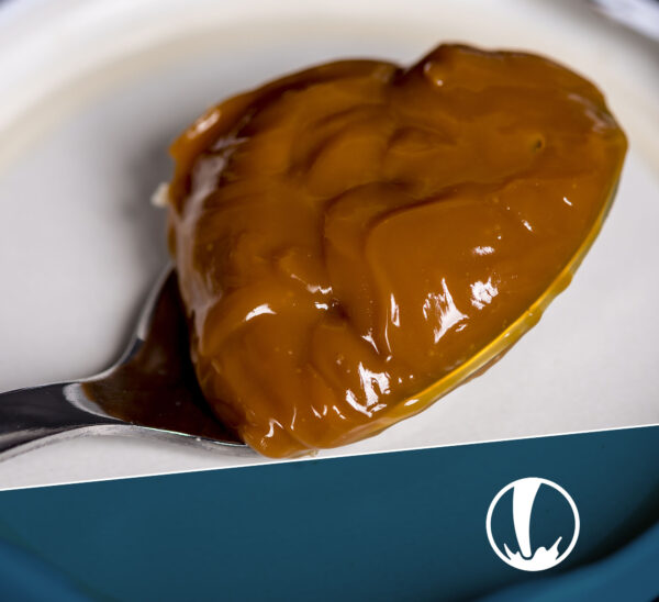 Tecnología de Elaboración de Dulce de Leche – Inicio 5 de octubre 2026